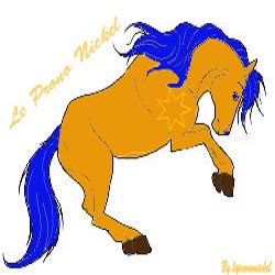 Le Prononickel Hippique